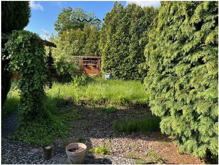 Reihenhaus, Reihenendhaus in Nordenham — Bild 3