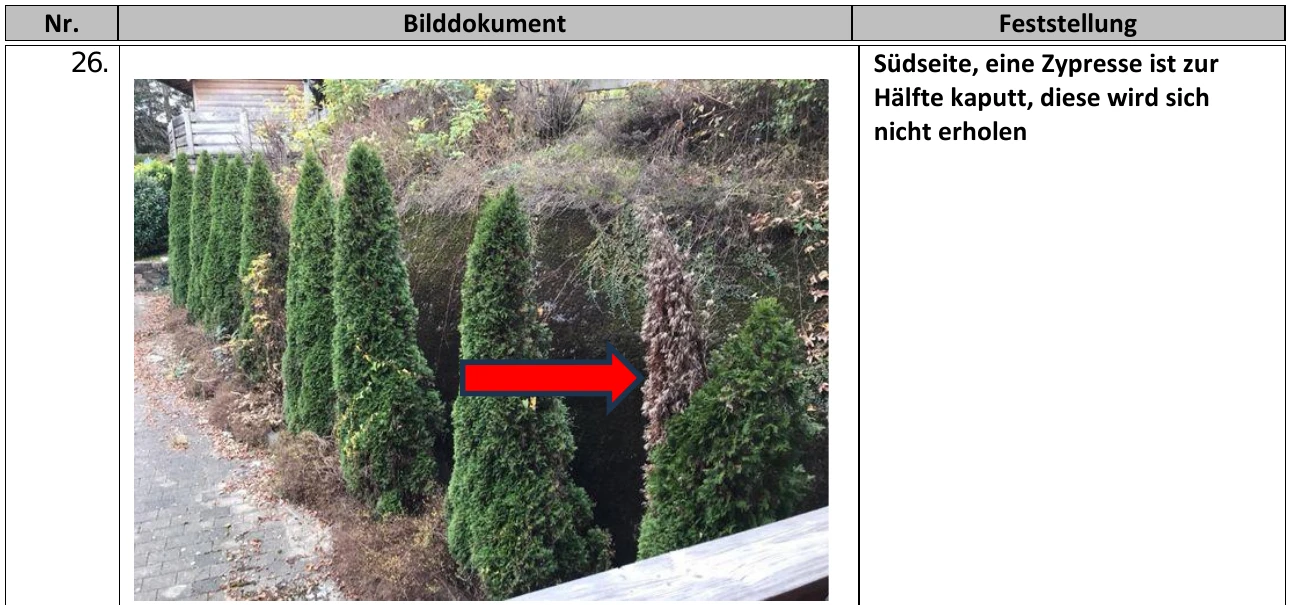 Wohn-/Geschäftshaus in Kreuth — Bild 3