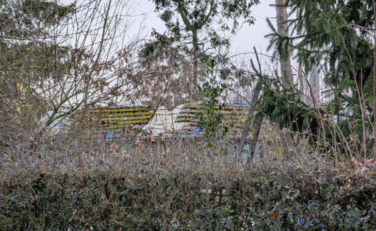unbebautes Grundstück in Güllesheim — Bild 3
