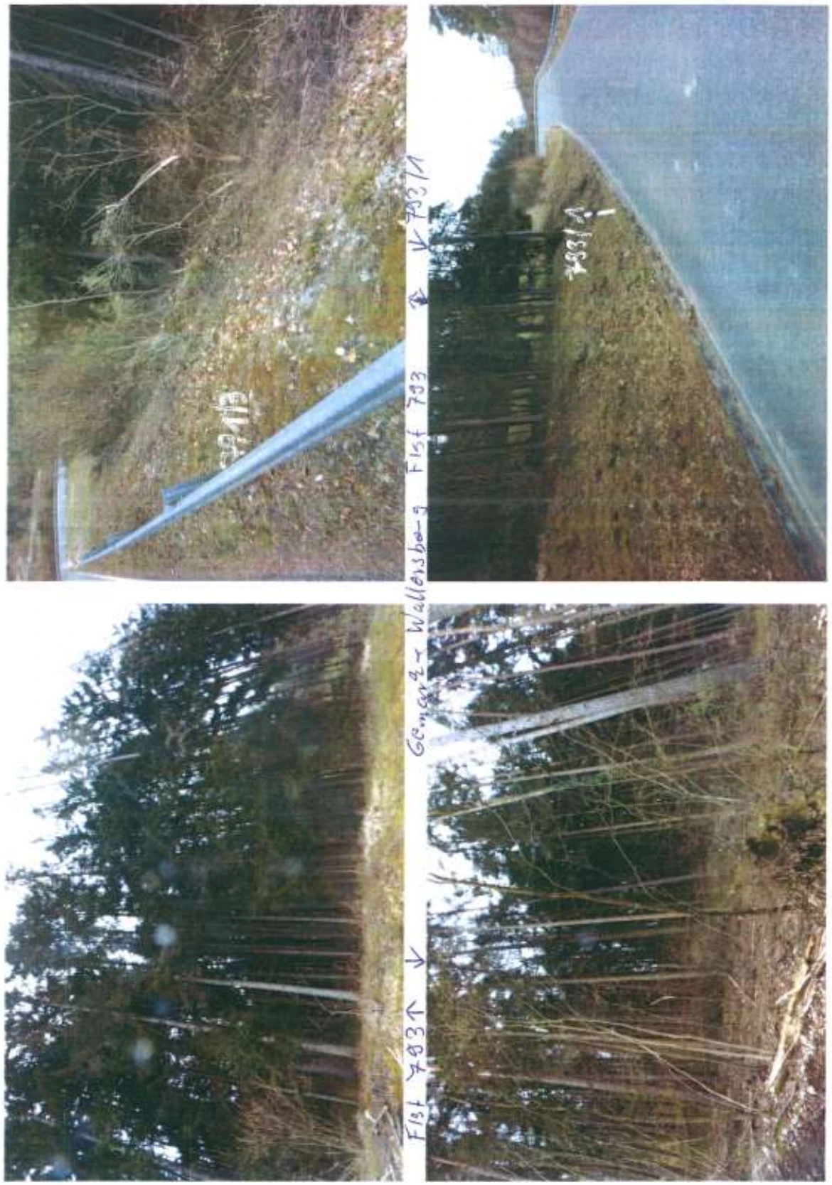 Wald- und Verkehrsflächen in Weismain — Bild 2