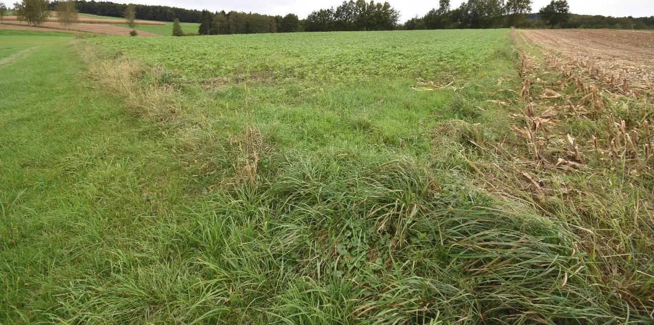 land- und forstwirtschaftlich genutzte Grundstücke in Grattersdorf — Bild 2