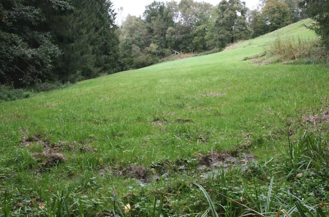 land- und forstwirtschaftlich genutzte Grundstücke in Grattersdorf — Bild 3