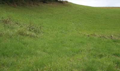 land- und forstwirtschaftlich genutzte Grundstücke in Grattersdorf