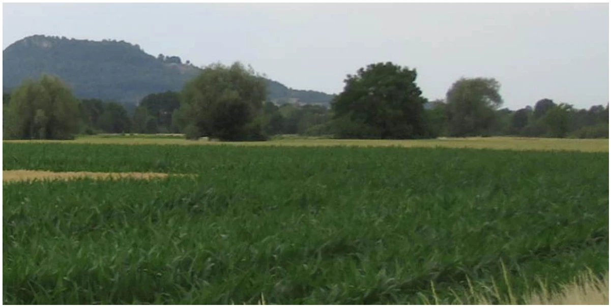 unbebautes Grundstück, land- und forstwirtschaftlich genutztes Grundstück in Pretzfeld — Bild 3
