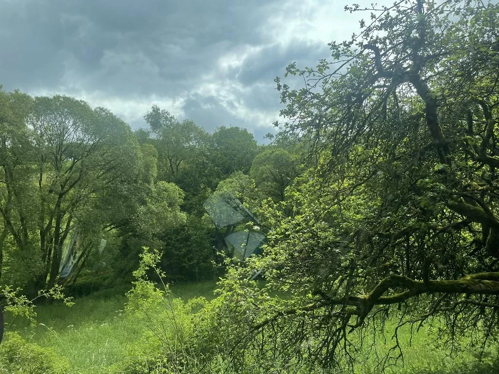 Sonstiges in Herren-Sulzbach