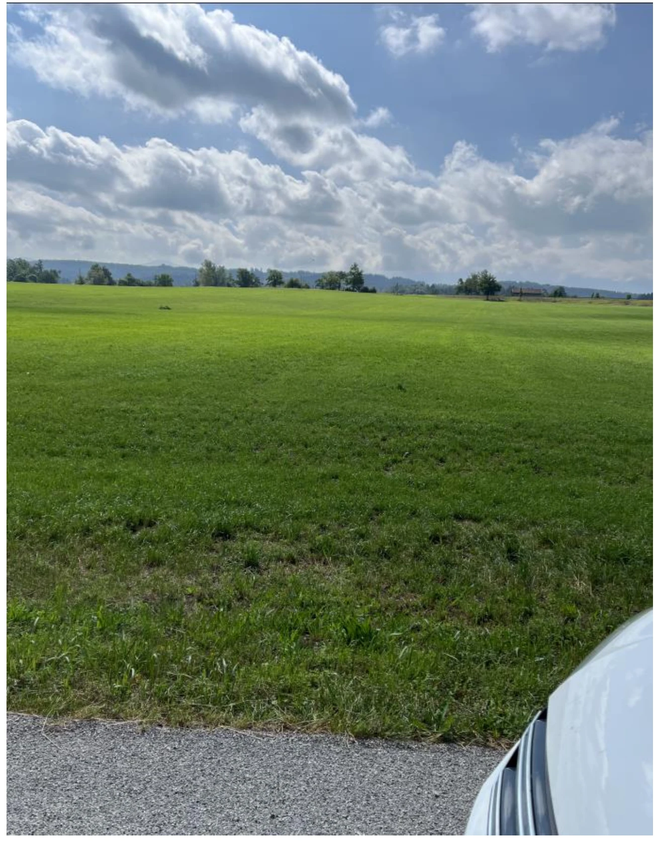 land- und forstwirtschaftlich genutztes Grundstück in Obersöchering — Bild 2