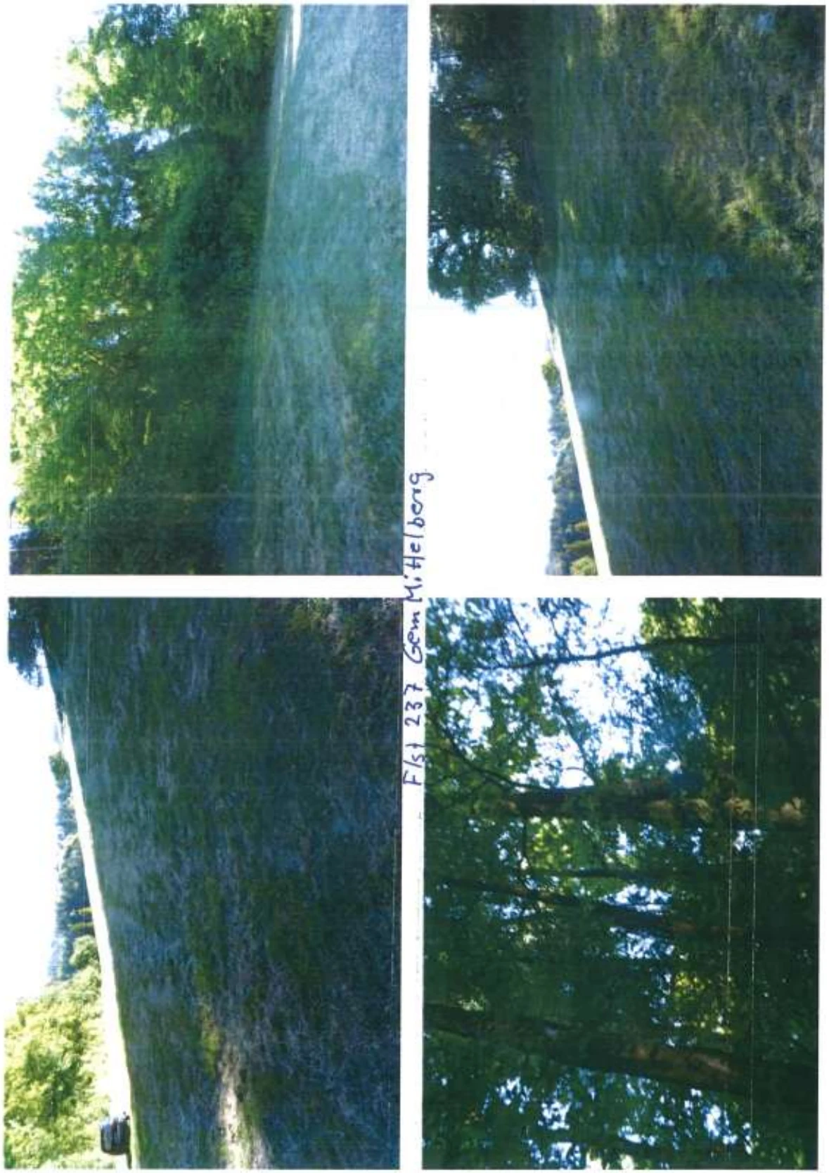 Landwirtschaftsfläche, Waldfläche in Rödental — Bild 2