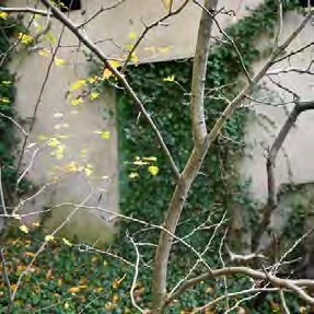 unbebautes Grundstück, Wohnhaus mit Anbau und Scheune in Markt Eckental
