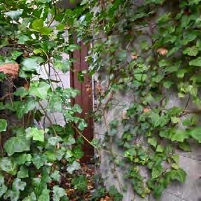 unbebautes Grundstück, Wohnhaus mit Anbau und Scheune in Markt Eckental — Bild 3