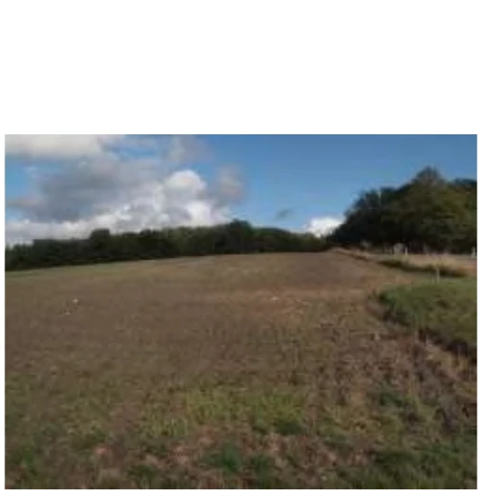 unbebautes Grundstück, land- und forstwirtschaftlich genutztes Grundstück in Diespeck — Bild 3