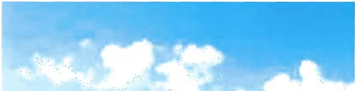 land- und forstwirtschaftlich genutztes Grundstück in Unterammergau — Bild 2