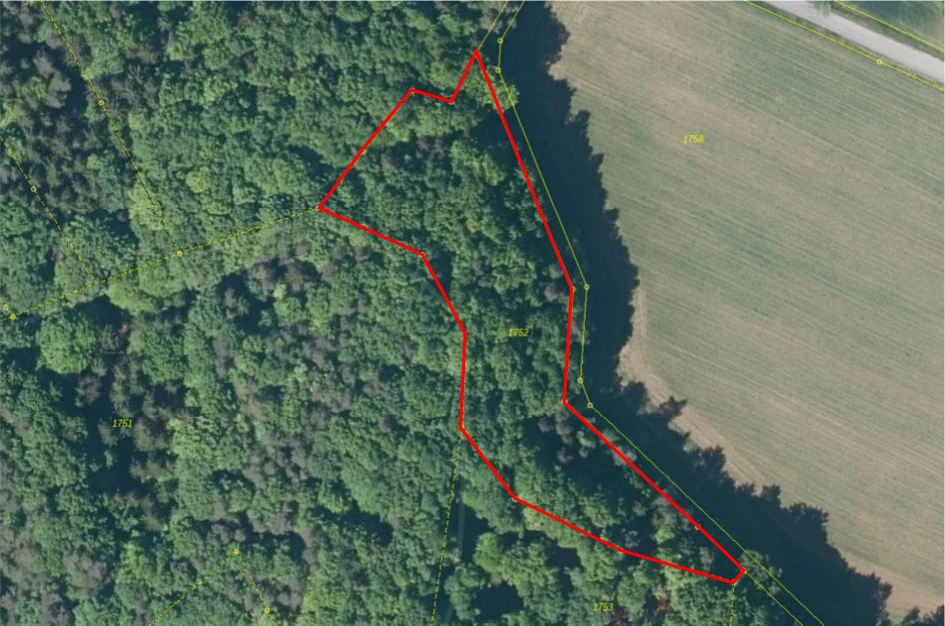 Waldfläche in Rüdnitz — Bild 2