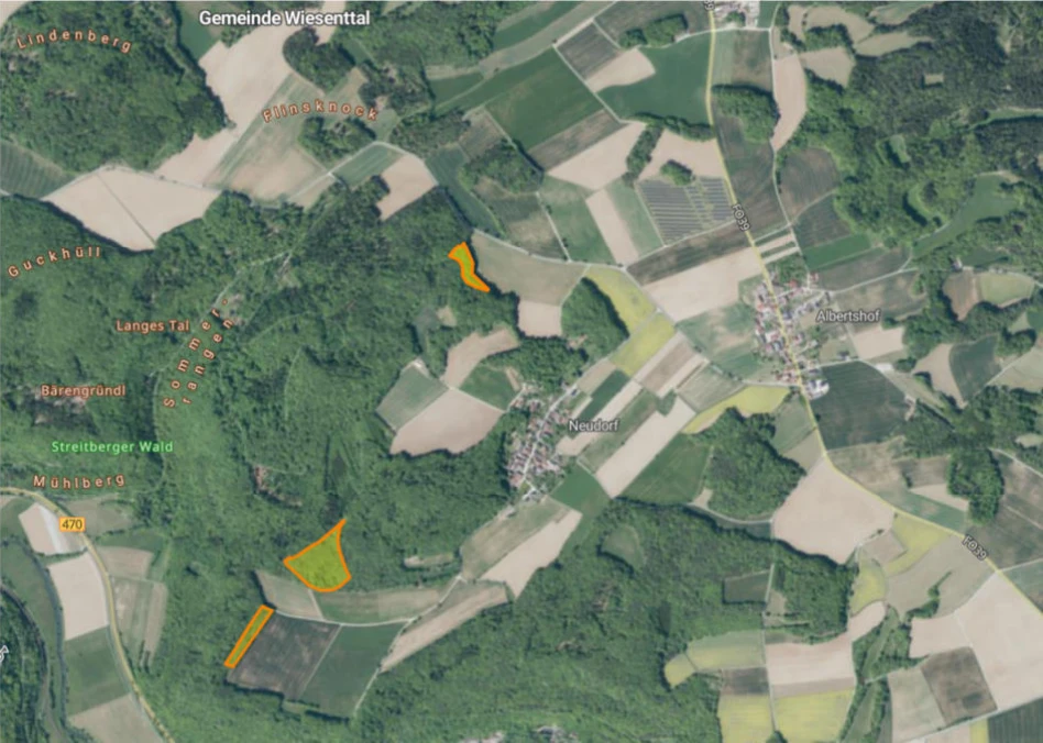 Waldfläche in Rüdnitz — Bild 3