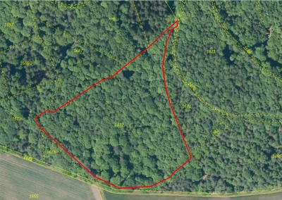 Waldfläche in Rüdnitz