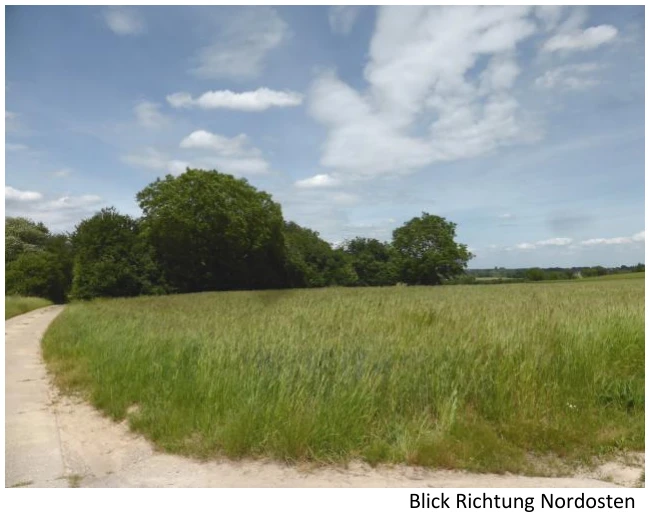 land- und forstwirtschaftlich genutztes Grundstück in Barbelroth — Bild 3