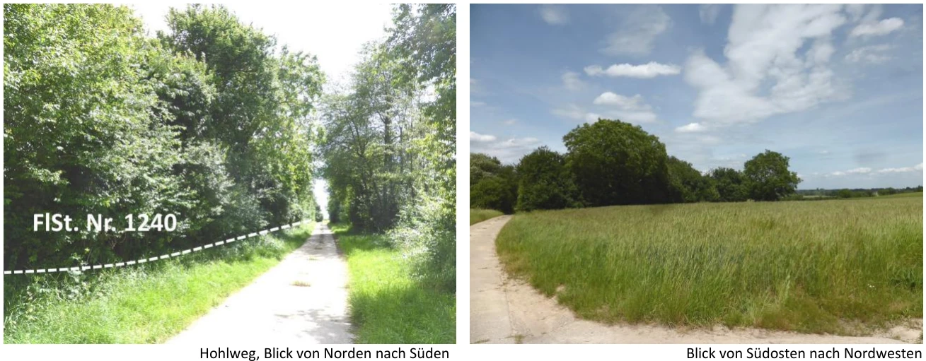 land- und forstwirtschaftlich genutztes Grundstück in Barbelroth — Bild 2