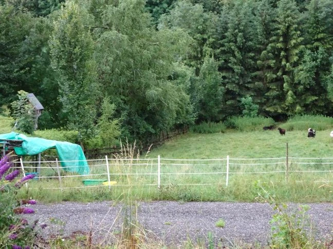 Einfamilienhaus mit Einliegerwohnung, Doppelgarage und Carport in Greiling — Bild 2