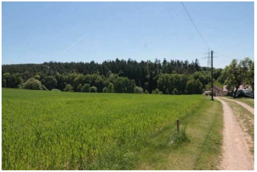 land- und forstwirtschaftlich genutztes Grundstück in Maxhütte-Haidhof — Bild 2