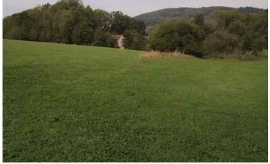 Wohnhaus, Ackerland u. a. in Weißenohe — Bild 3