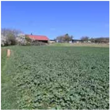 Immobilie in Karsbach — Bild 3