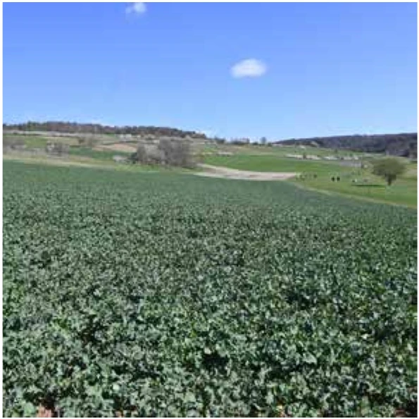 Immobilie in Karsbach — Bild 2