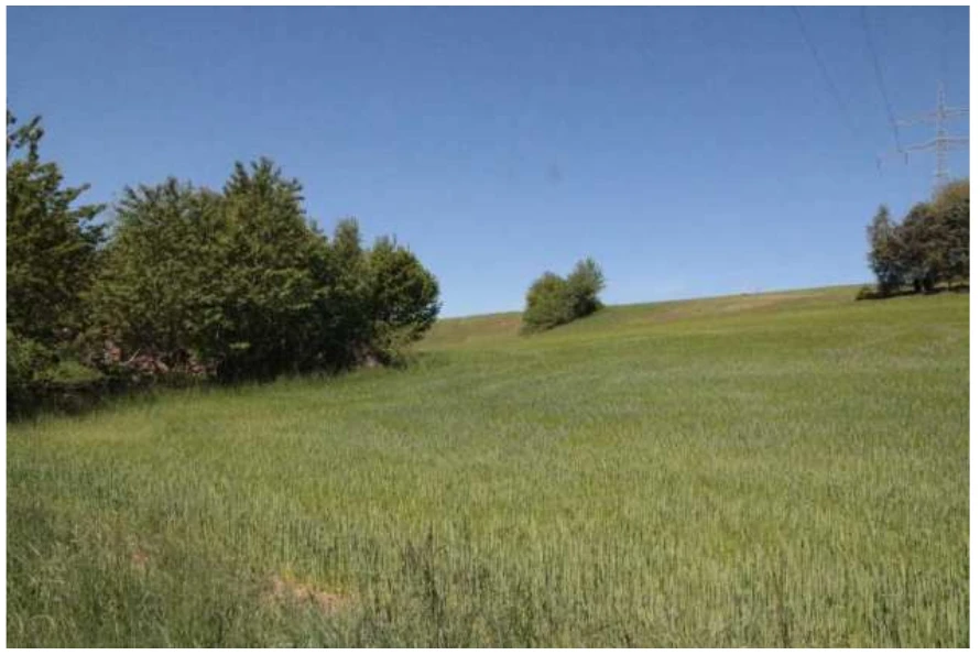 Waldfläche, Gebäude- und Freifläche, Landwirtschaftsfläche in Maxhütte-Haidhof — Bild 2