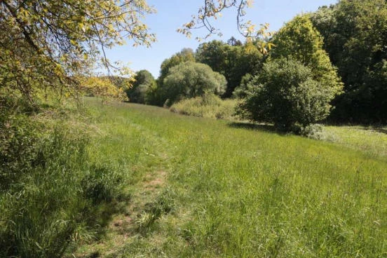 land- und forstwirtschaftlich genutztes Grundstück in Maxhütte-Haidhof — Bild 3