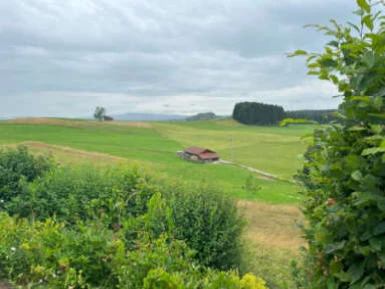 Einfamilienhaus, unbebautes Grundstück in Steingaden — Bild 2