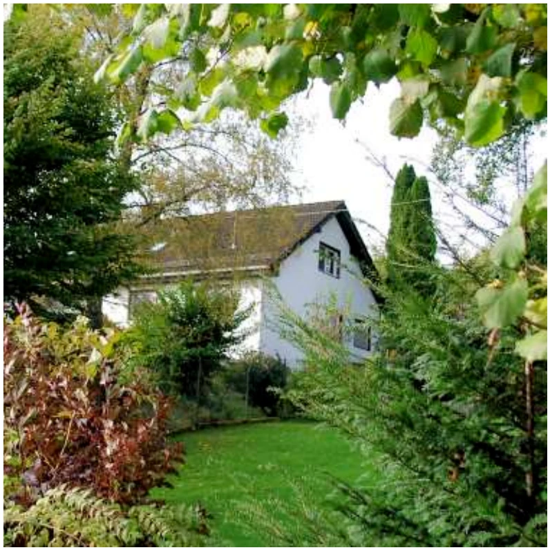 Garage, Einfamilienhaus, und Gästehaus in Nümbrecht — Bild 2