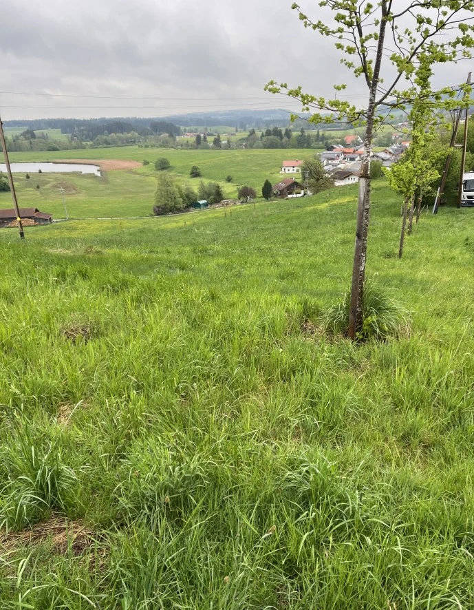 land- und forstwirtschaftlich genutztes Grundstück in Steingaden — Bild 2