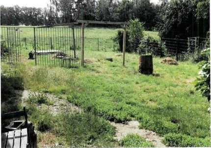 Doppelhaushälfte in Meerane — Bild 2