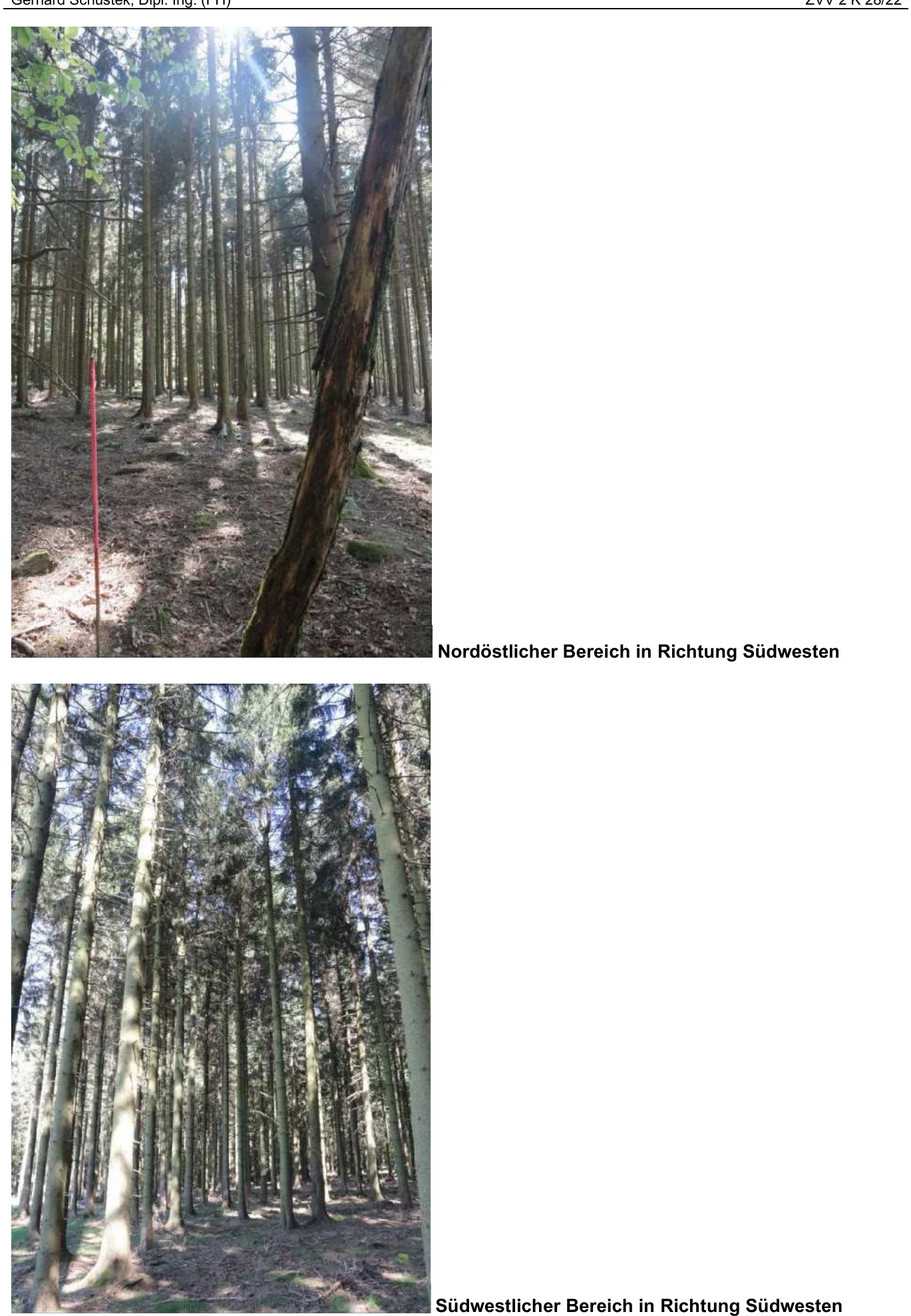 land- und forstwirtschaftlich genutztes Grundstück in Schönsee — Bild 3