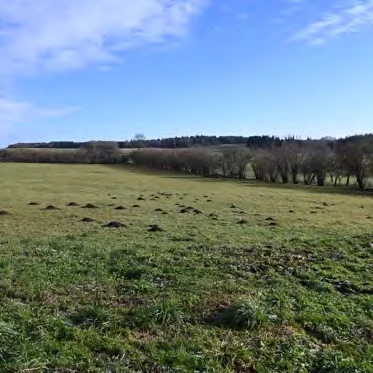 Gebäude- und Freifläche, Landwirtschaftsfläche in Thurndorf