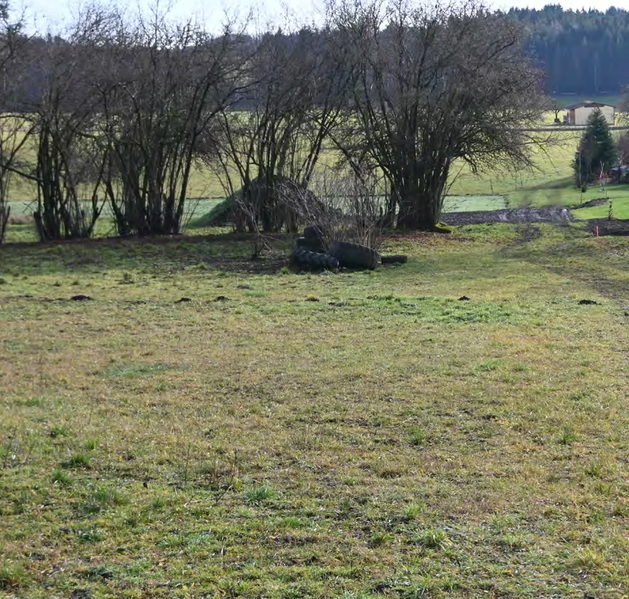Gebäude- und Freifläche, Landwirtschaftsfläche in Thurndorf — Bild 2