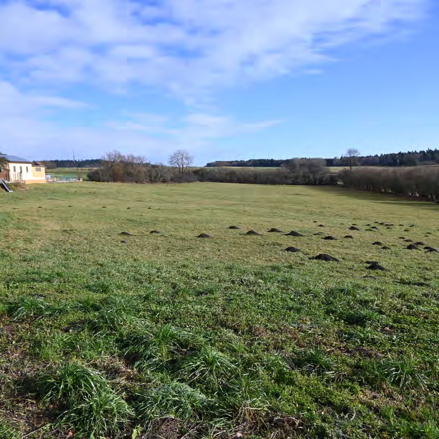 Gebäude- und Freifläche, Landwirtschaftsfläche in Thurndorf — Bild 3