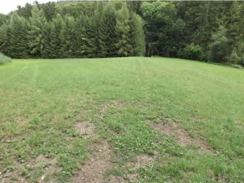 land- und forstwirtschaftlich genutztes Grundstück in Niederaichbach — Bild 2