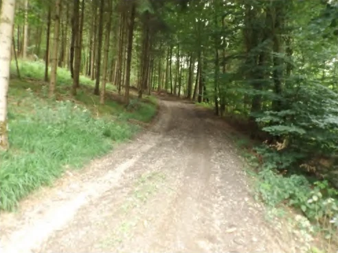 land- und forstwirtschaftlich genutztes Grundstück in Niederaichbach — Bild 3