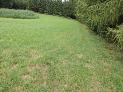 land- und forstwirtschaftlich genutztes Grundstück in Niederaichbach