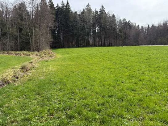 land- und forstwirtschaftlich genutztes Grundstück in Münsing
