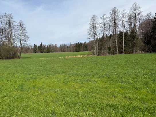 land- und forstwirtschaftlich genutztes Grundstück in Münsing — Bild 2