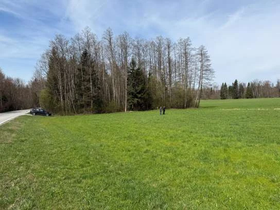land- und forstwirtschaftlich genutztes Grundstück in Münsing — Bild 3