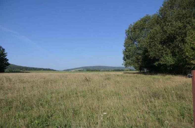 unbebautes Grundstück in Großschönau — Bild 2