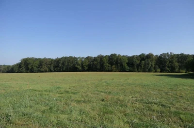 unbebautes Grundstück in Großschönau