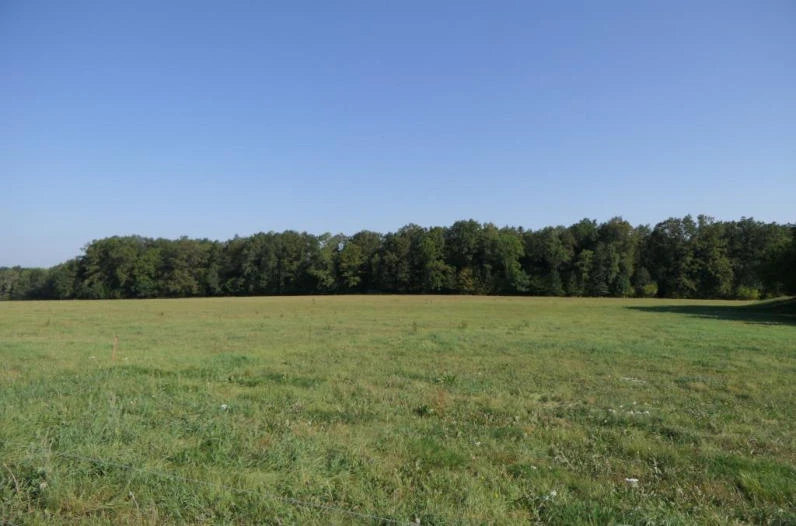 unbebautes Grundstück in Großschönau — Bild 2