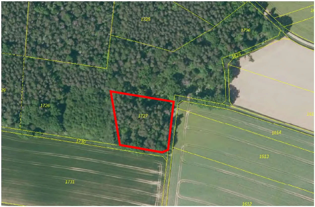 Immobilie in Höchstadt — Bild 3