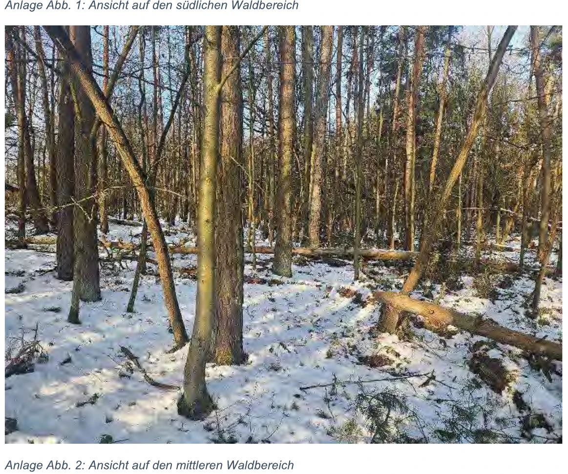 Immobilie in Höchstadt — Bild 2