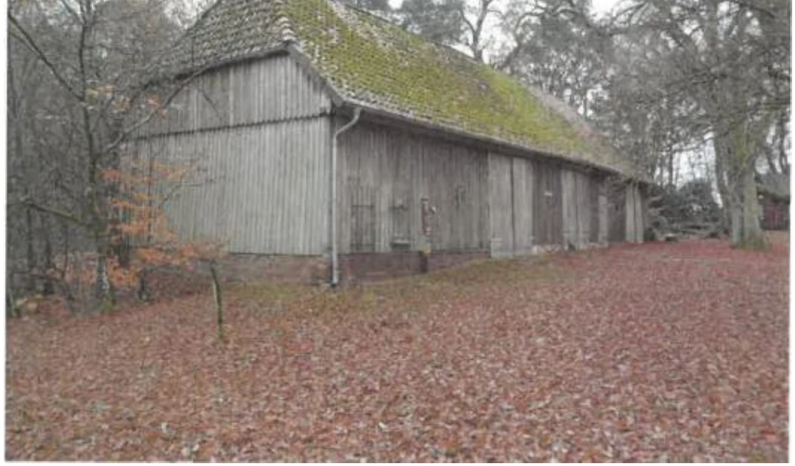 Sonstiges in Essel — Bild 3