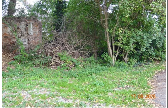 unbebautes Grundstück in Calbe — Bild 2