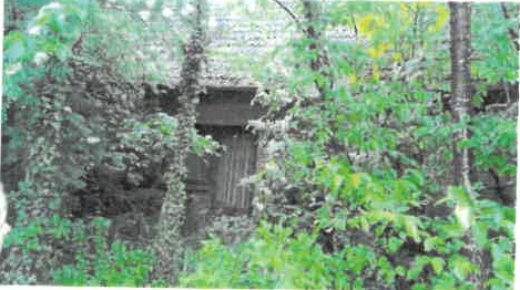 Einfamilienhaus in Wittorf — Bild 2