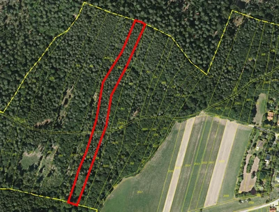 land- und forstwirtschaftlich genutztes Grundstück in Ahorn
